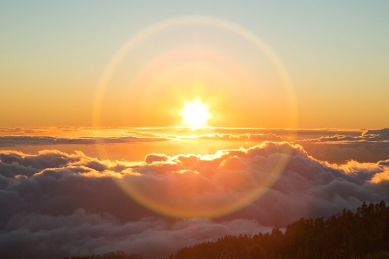 Preparing Sensitive Skin for Tattooing in Hot Texas Weather